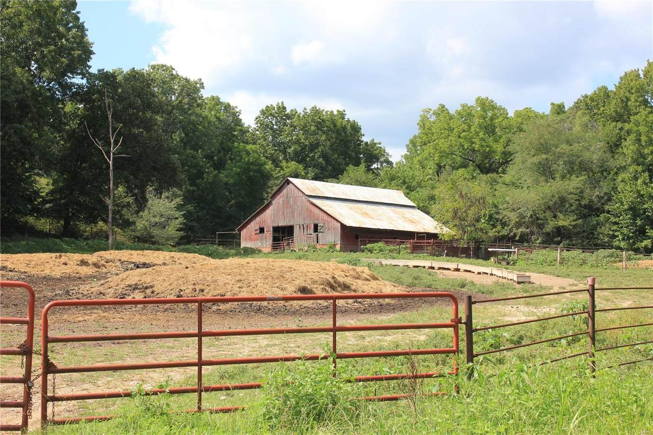 15789 Creek Road - Photo 1