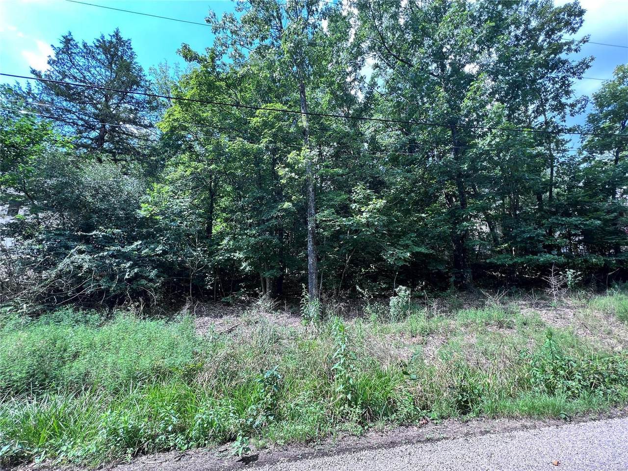 1612 Marion Drive - Photo 1