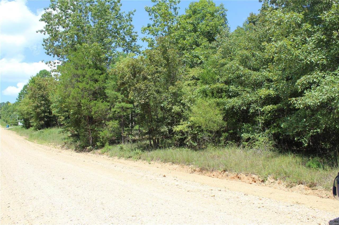 0 County Road 520 Rabbit Run - Photo 1