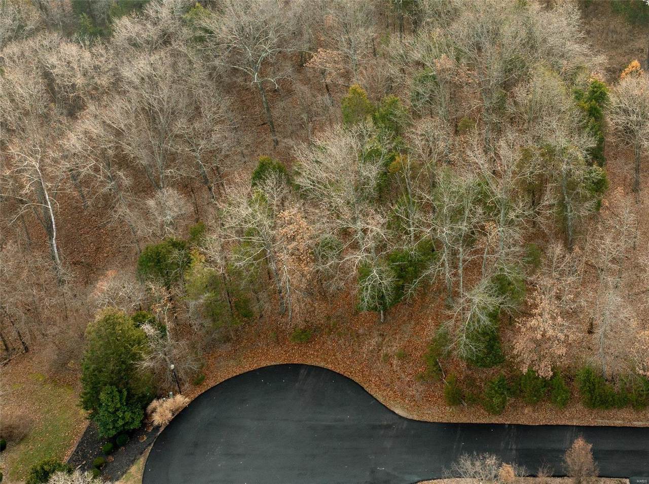 2808 Saint Albans Forest Court - Photo 1