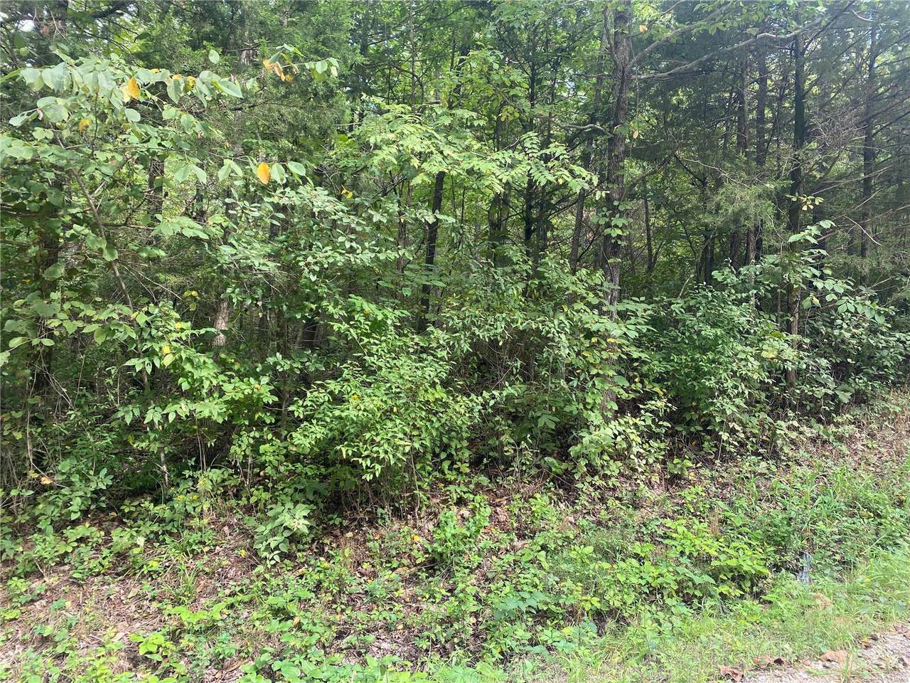 0 Virgil Faulkner Drive - Photo 1