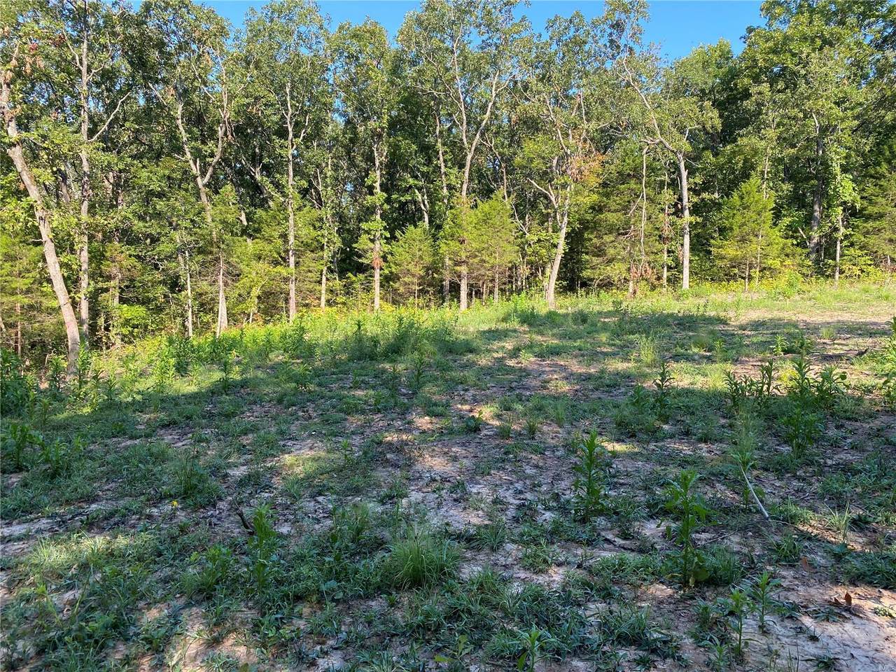 0 Dry Fork - Photo 1