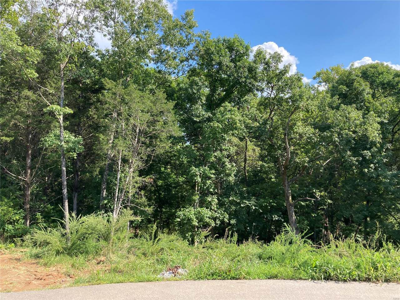 158 Long Oaks Drive - Photo 1