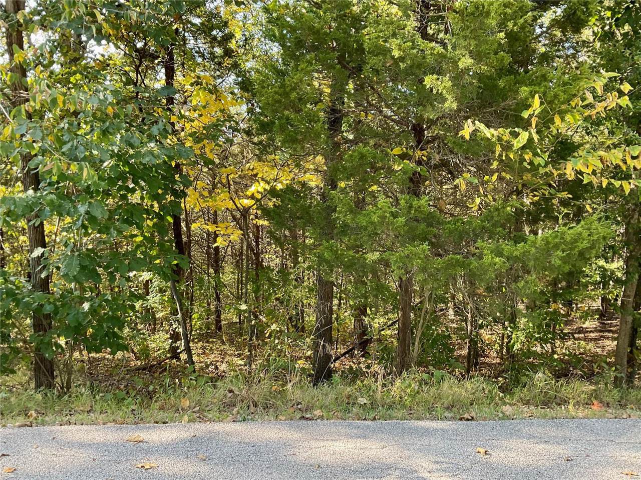 10515 Eagles Nest Drive - Photo 1