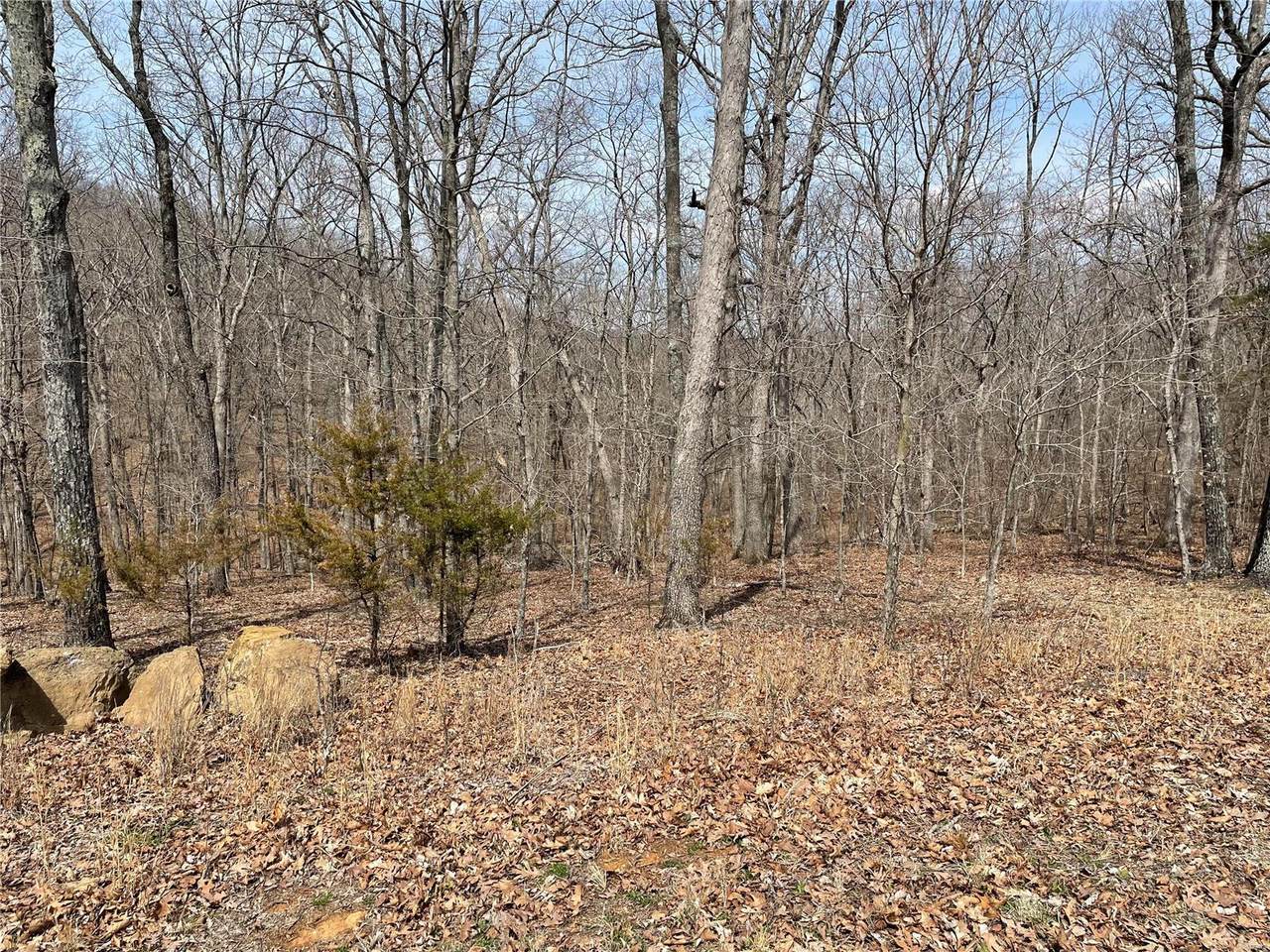 5045 Squire Lane - Photo 1
