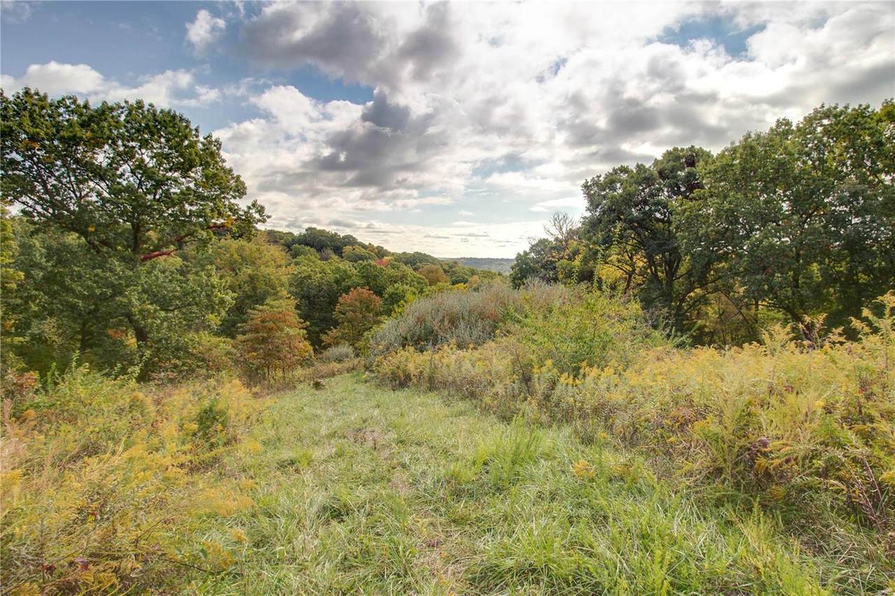 0 Godar Hollow Road - Photo 1