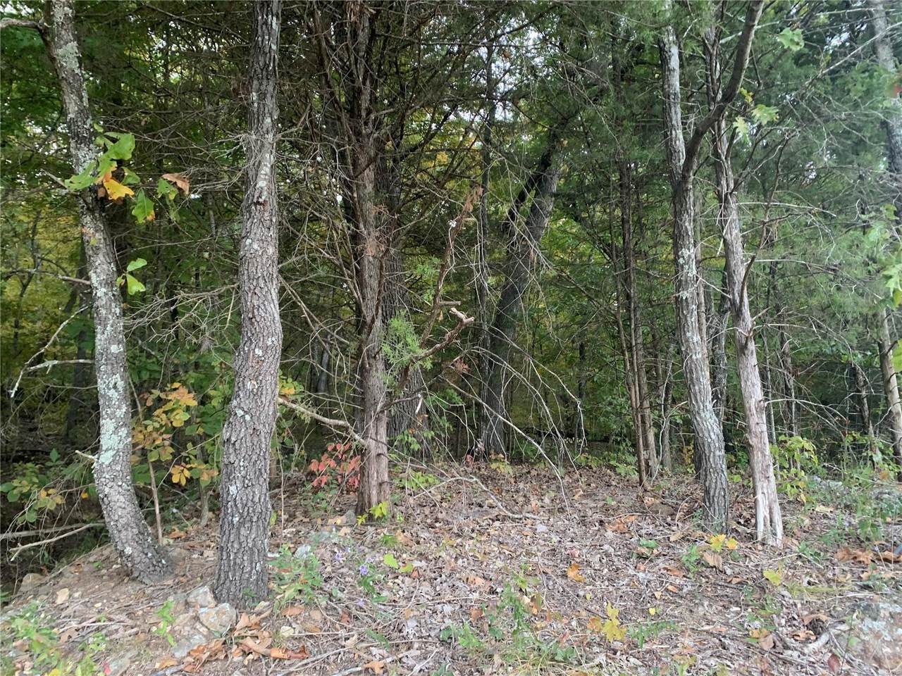 0 Woodson Drive - Photo 1