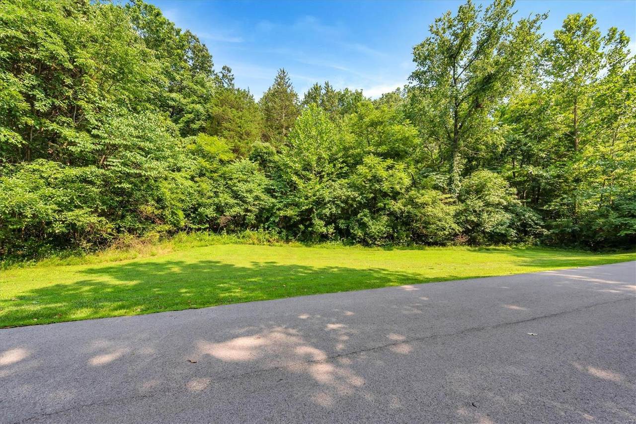 19264 Saint Albans Forest Lane - Photo 1