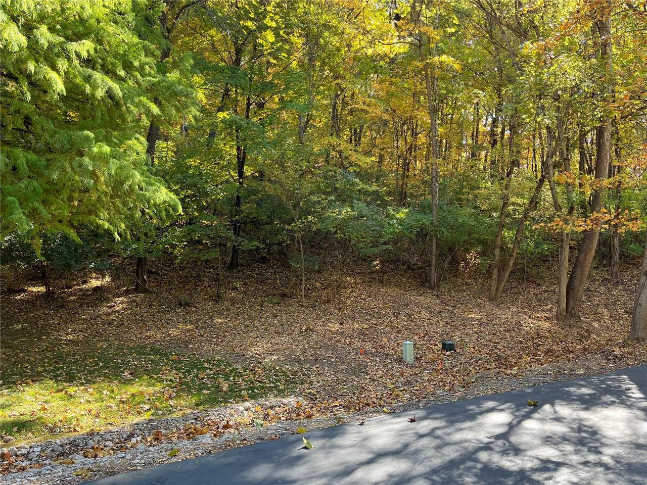 2544 Wild Valley Drive - Photo 1