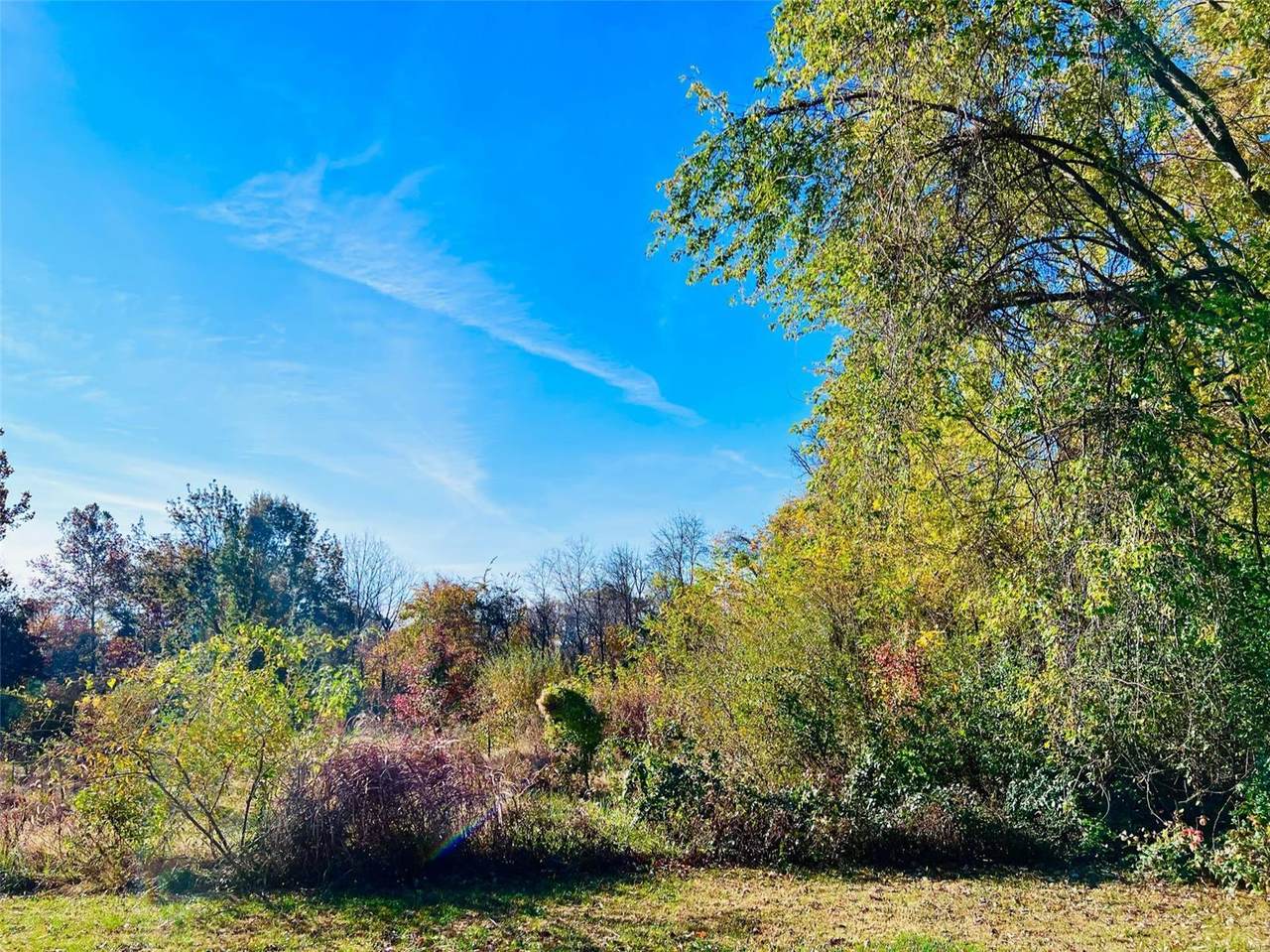 0 Shoreline Drive - Photo 1