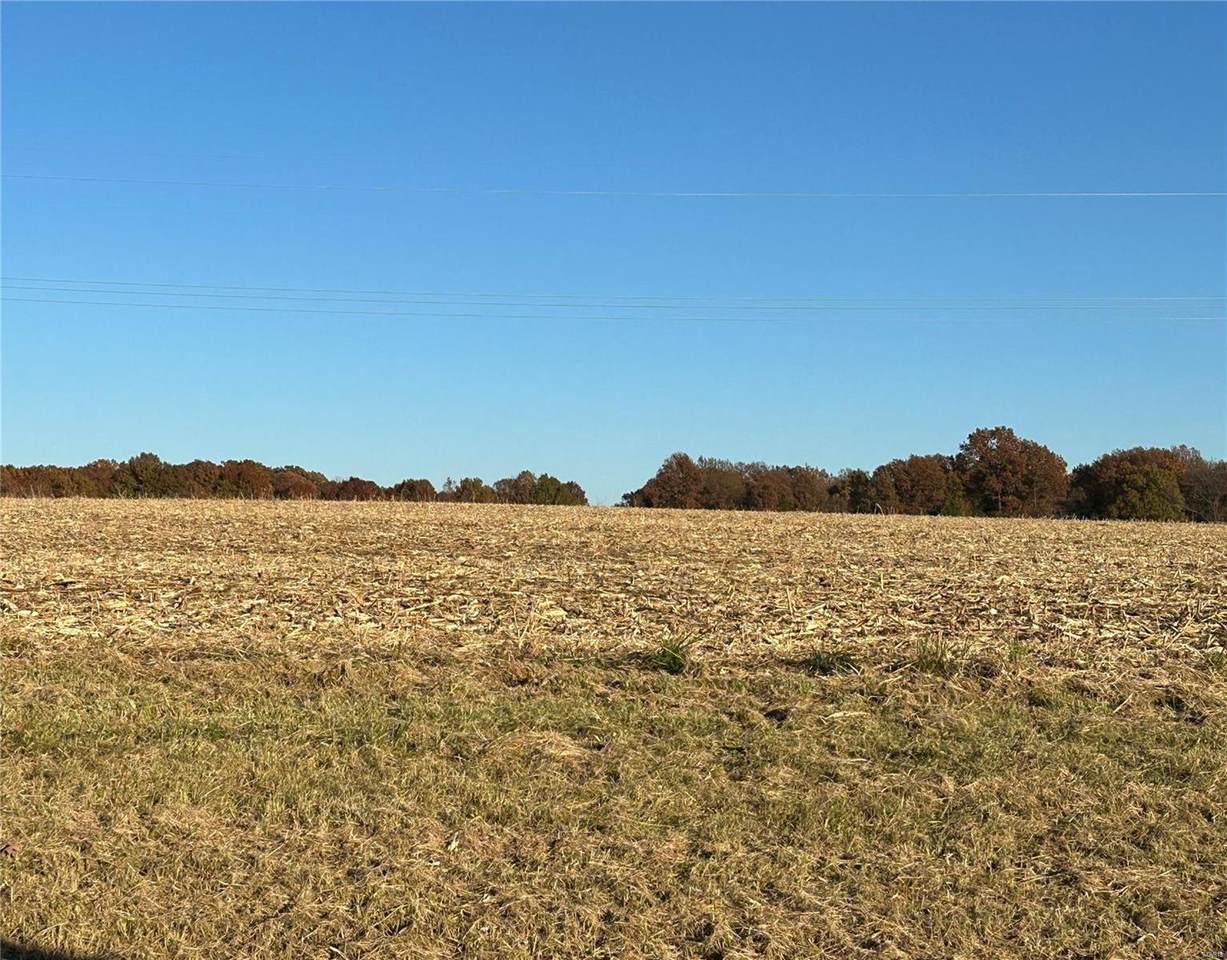 0 Snyder Road - Photo 1