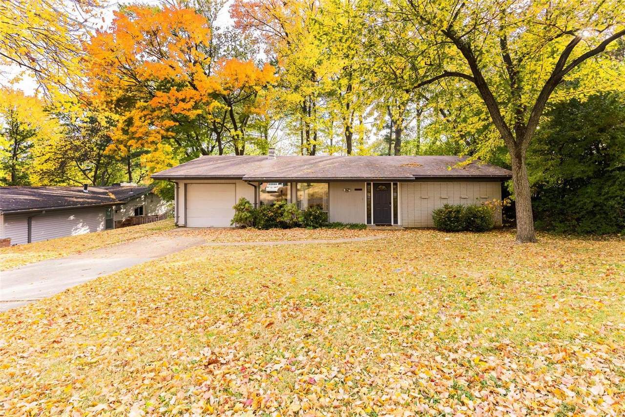 12458 Cohasset Lane - Photo 1