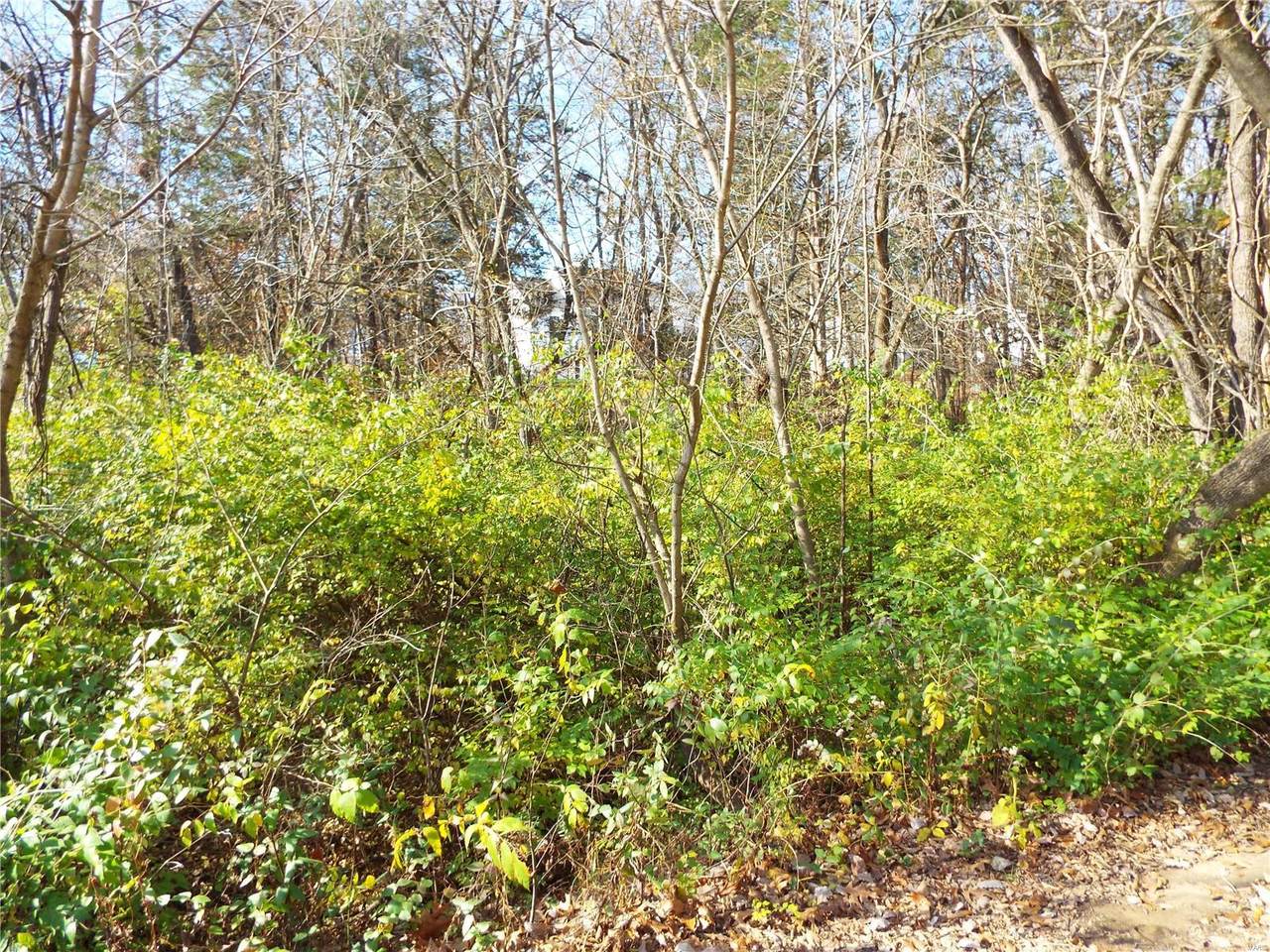 240 Incline Villlage (Red Cedar) - Photo 1