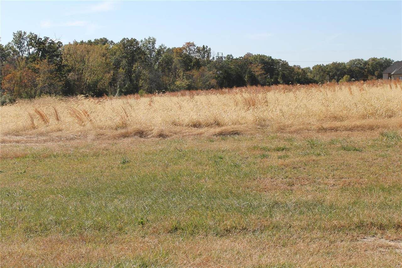 501 Castle Rock Bend Drive - Photo 1