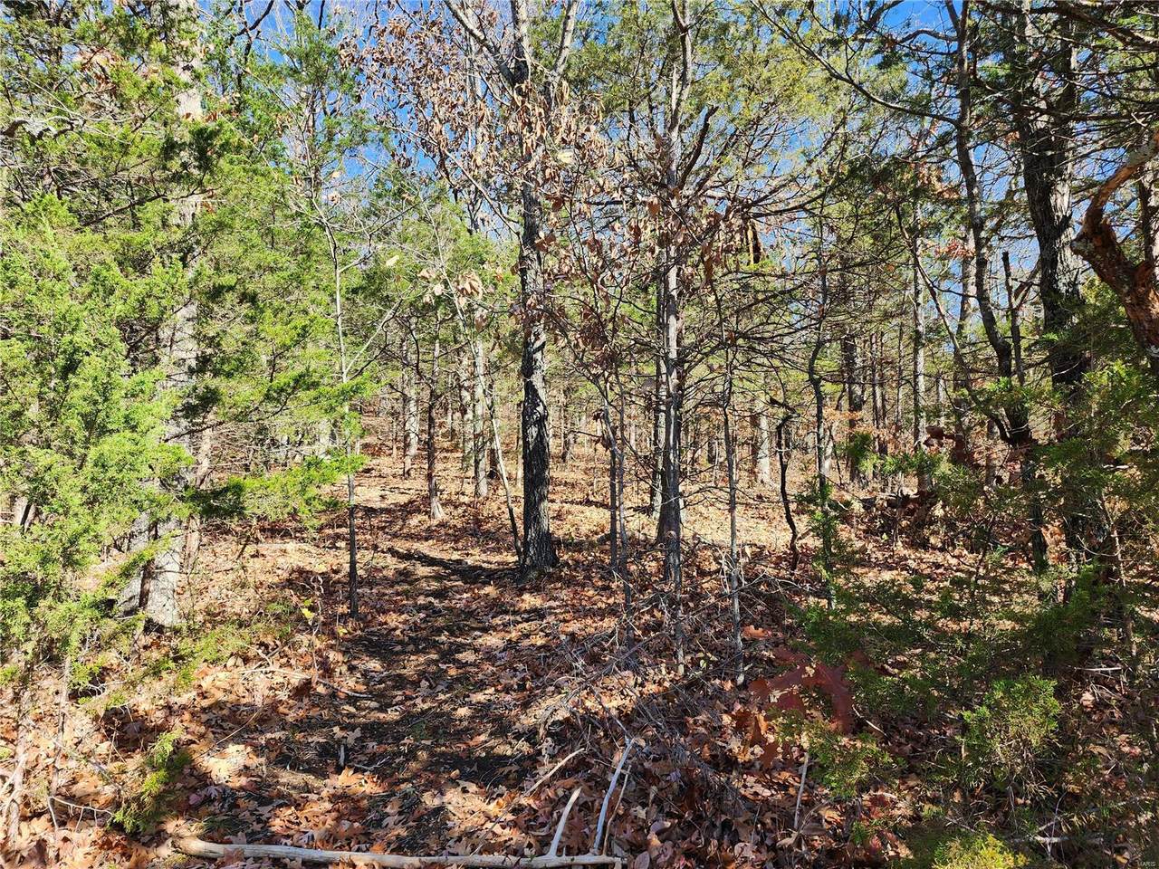 0 Dogwood Hills Lot 3 - Photo 1