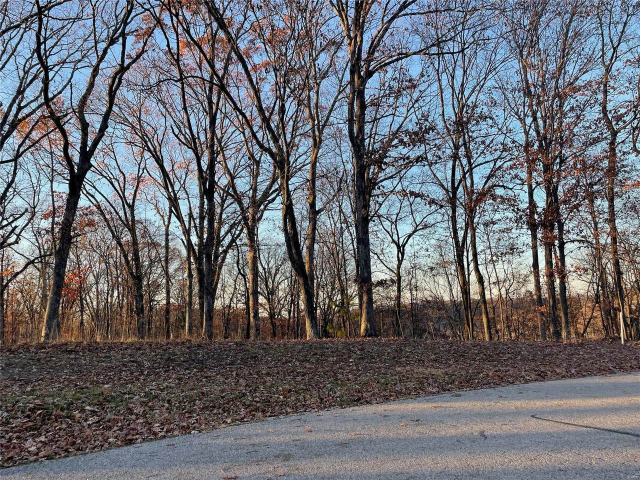 3523 Hawthorne Ridge Drive - Photo 1
