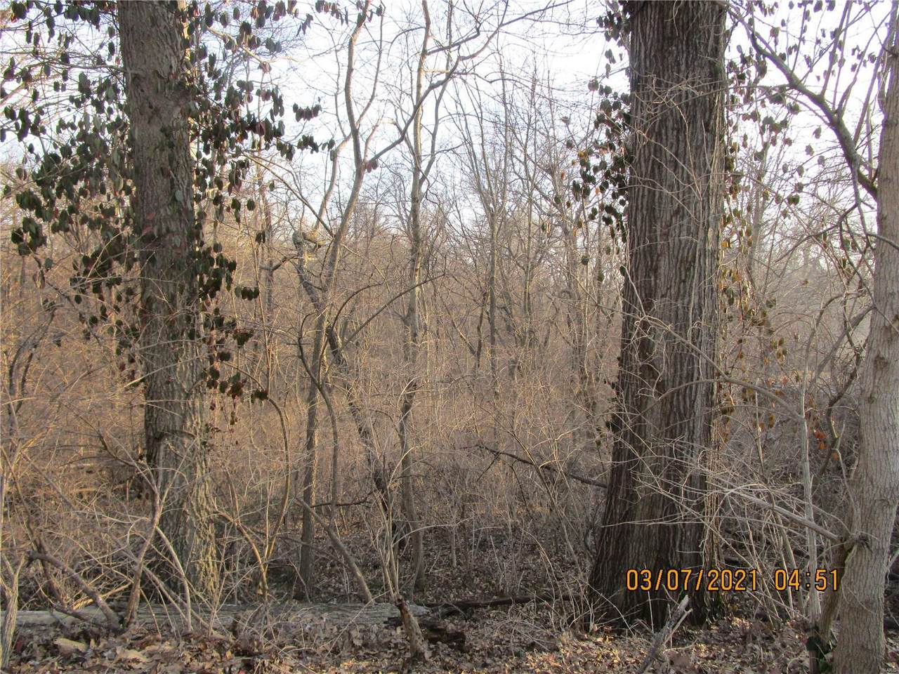 1275 Pin Oak Ln. - Photo 1