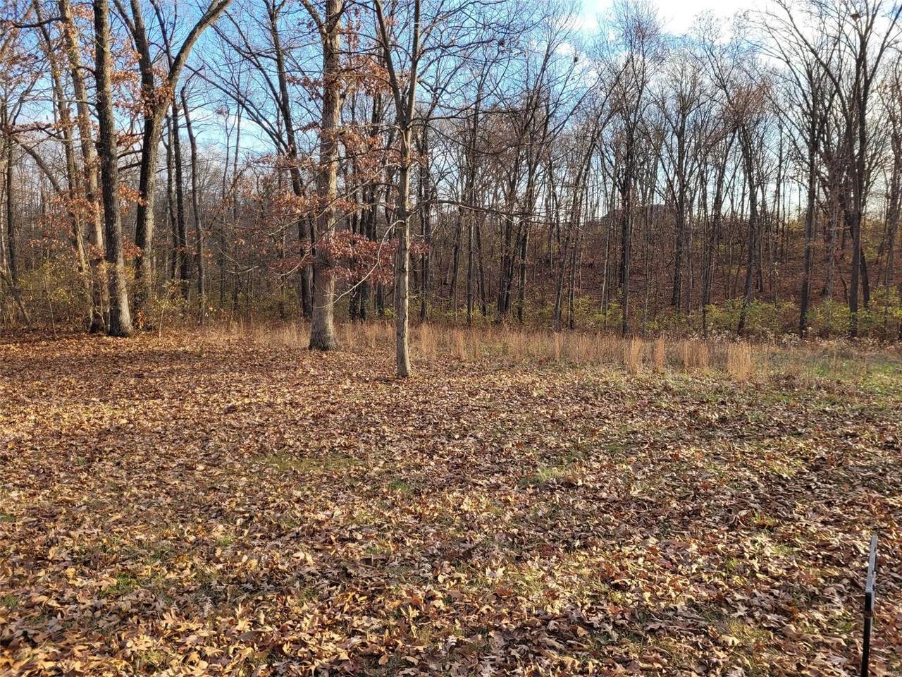 128 Saxony Woods Dr (3.96+/- Ac) Drive - Photo 1
