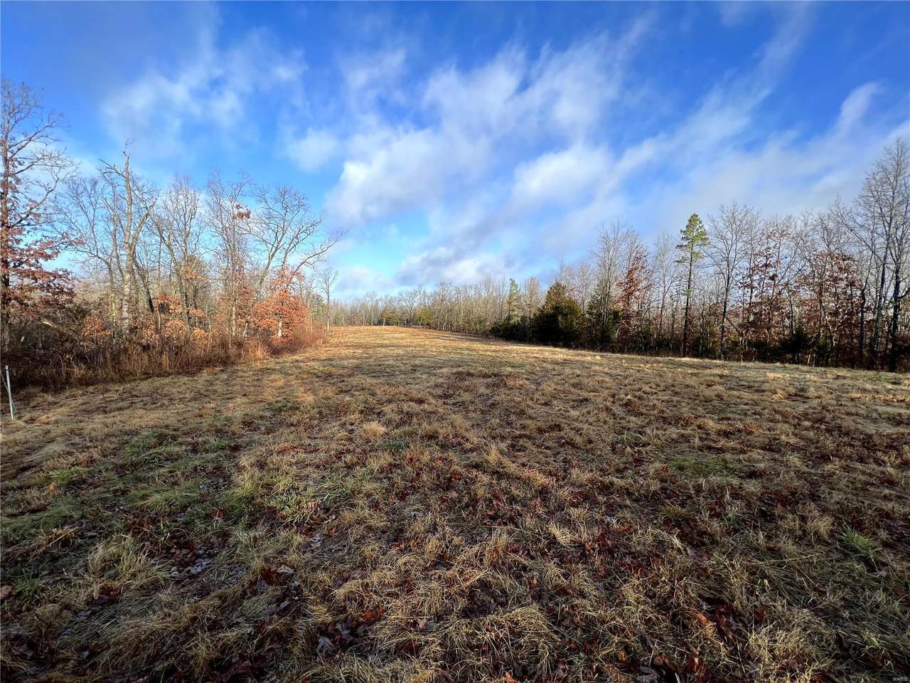 0 Courtois Rd. (85+/- Acres) - Photo 1