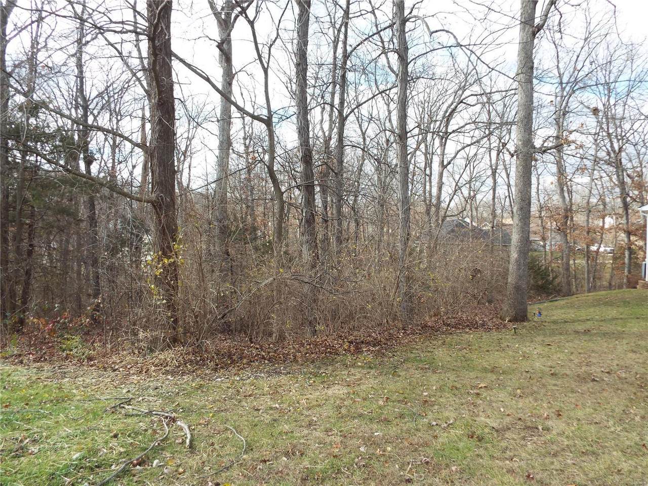 272 Incline Village (Juniper) - Photo 1