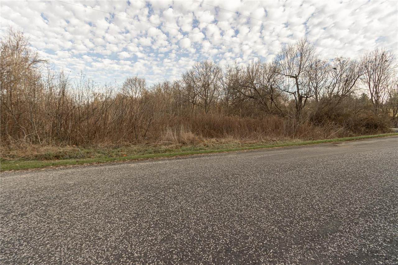 11359 Niggli Road - Photo 1