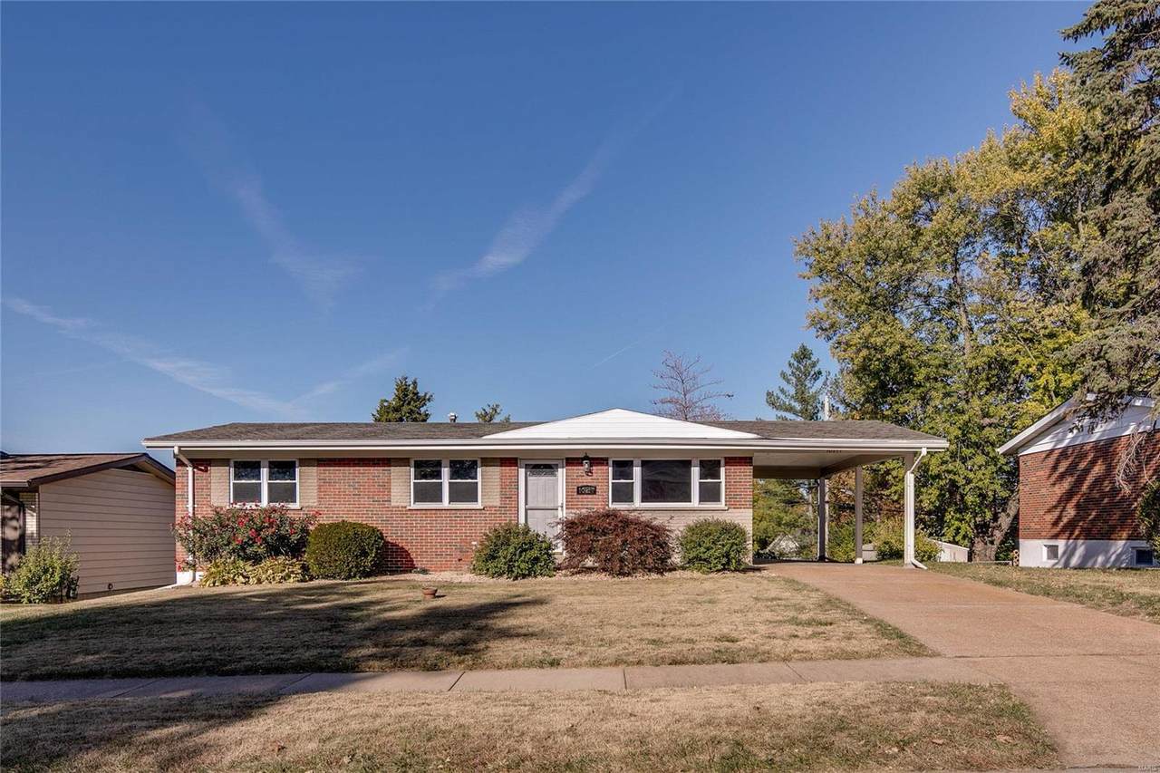 10217 Jubil Drive - Photo 1