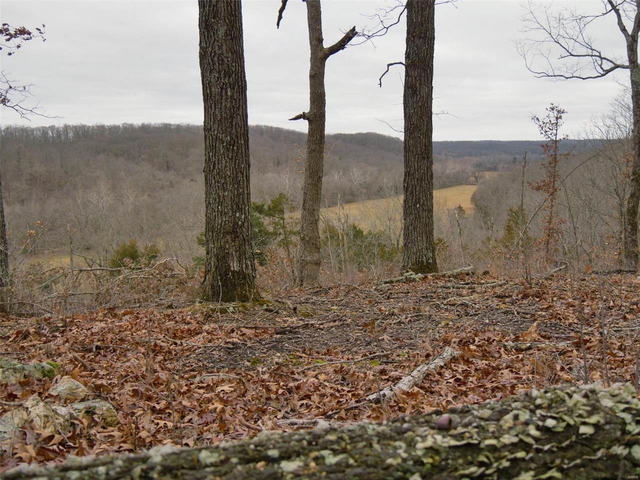 0 Rye Creek Road - Photo 1
