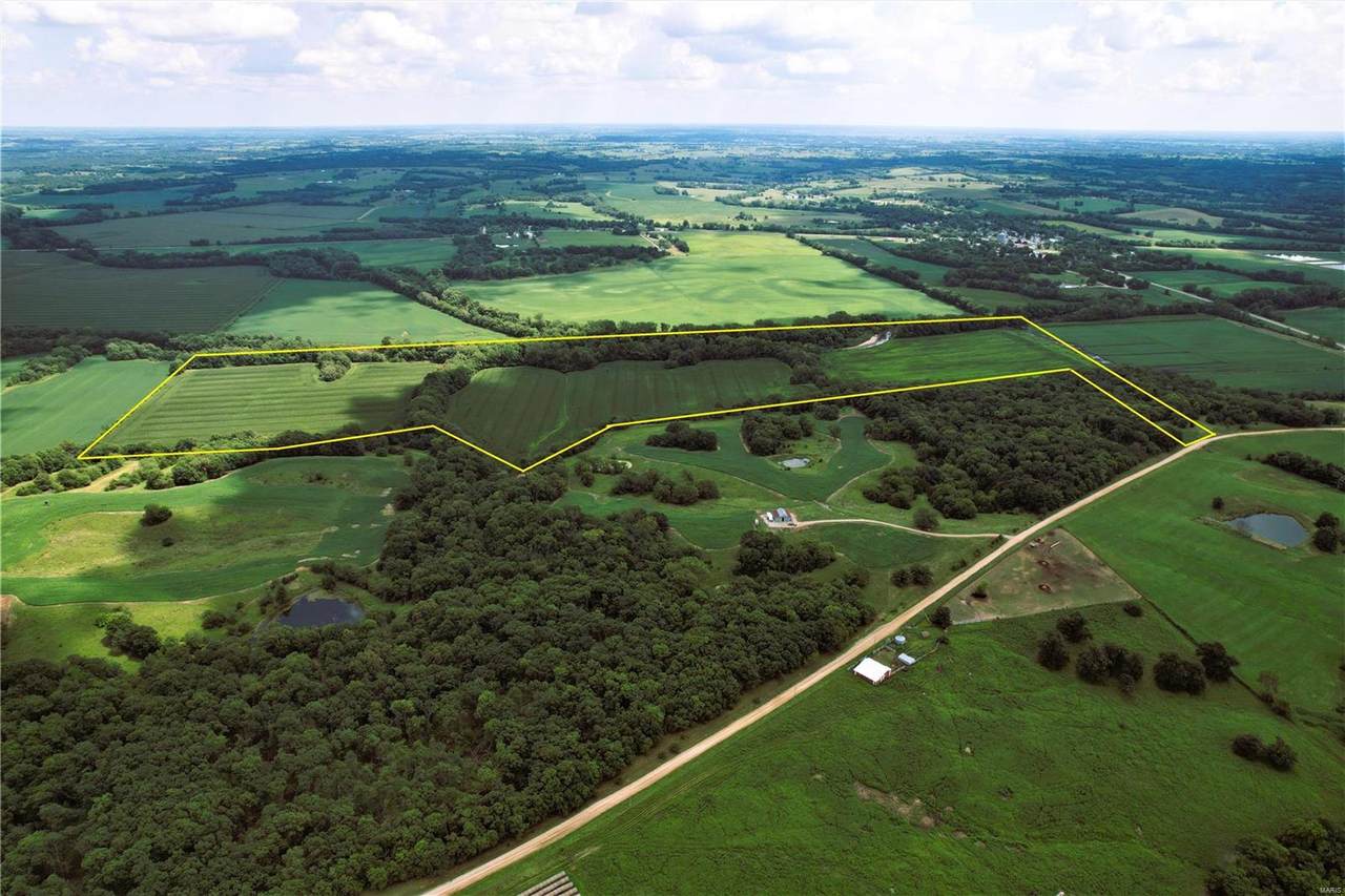 0 108.41 Acres Dogwood Drive - Photo 1