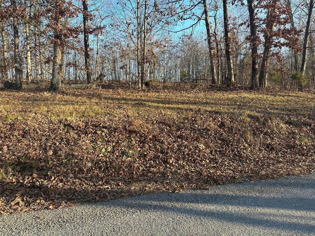 25 Wagon Creek Loop - Photo 1