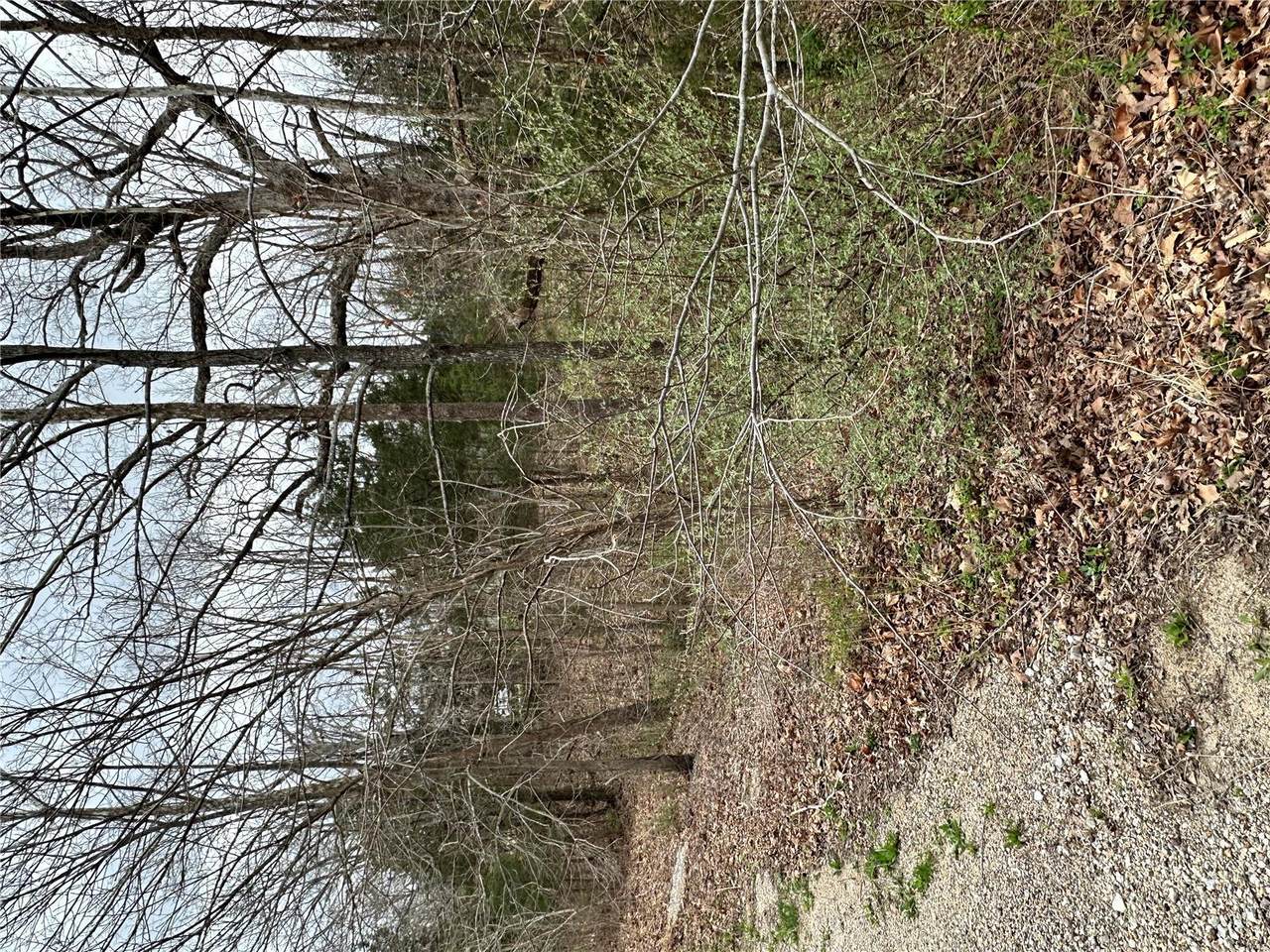 2023 Lakeshore Drive - Photo 1