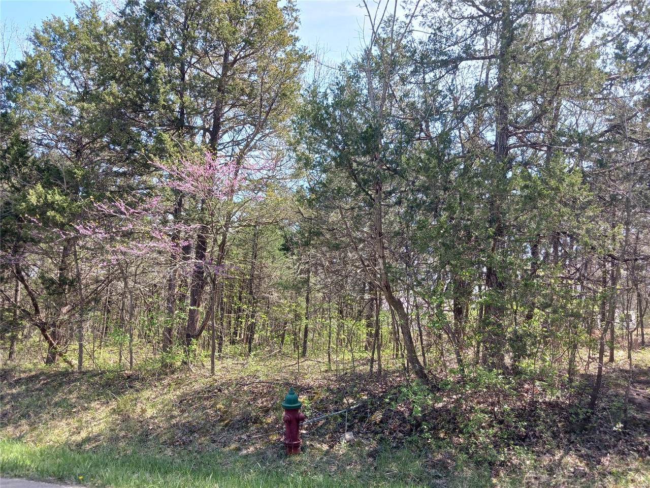 0 Lafitte Drive - Photo 1