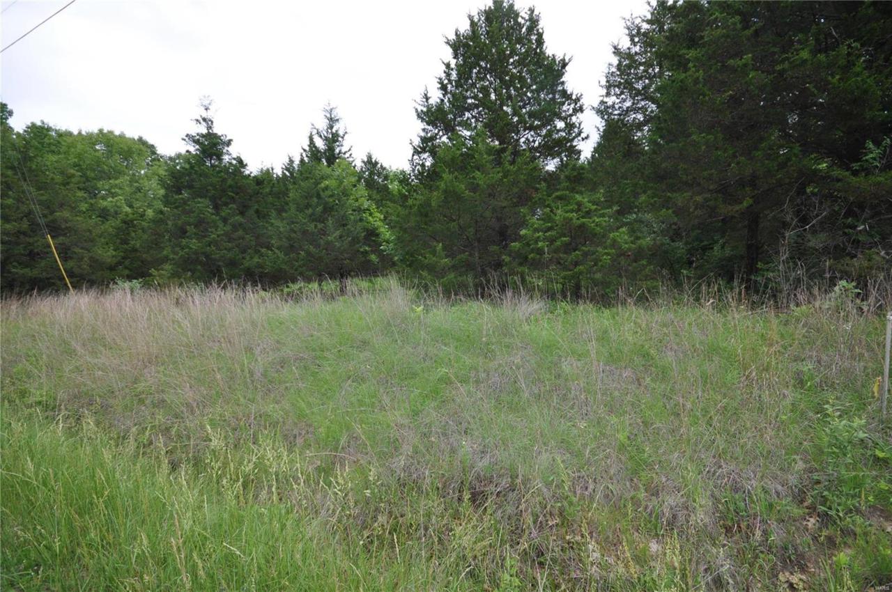 2300 Squire Drive - Photo 1