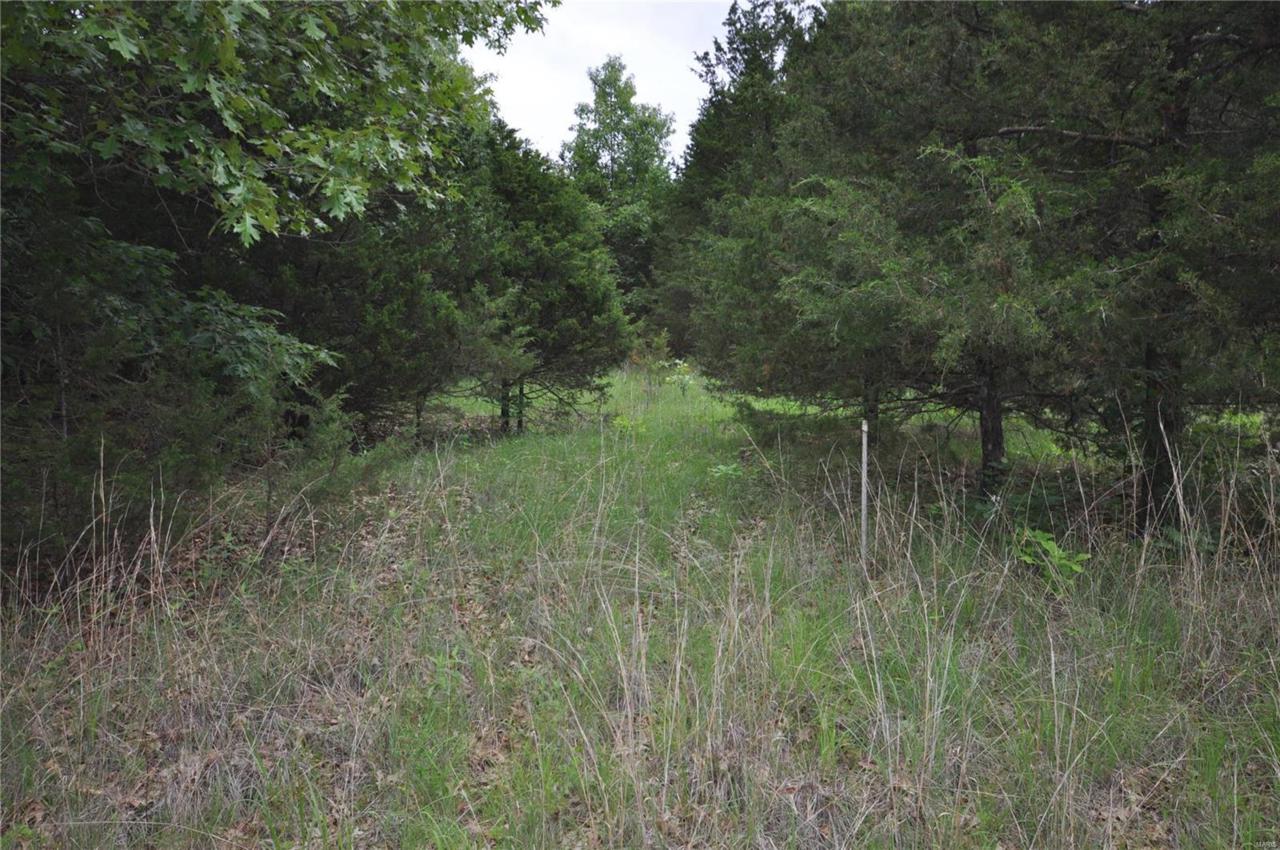 2303 Squire Road - Photo 1