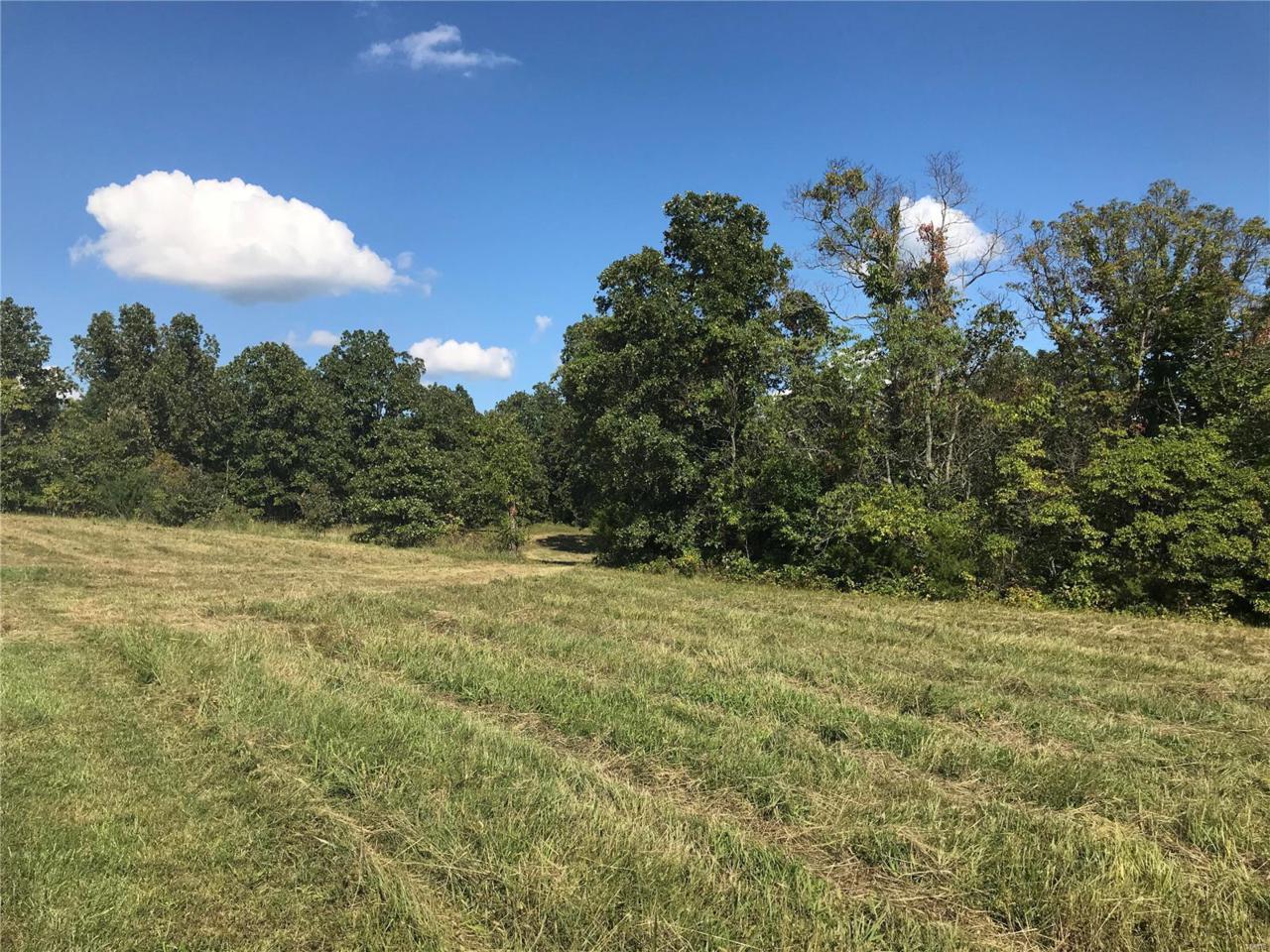 3 Lot 1 Plat Soda Creek - Photo 1