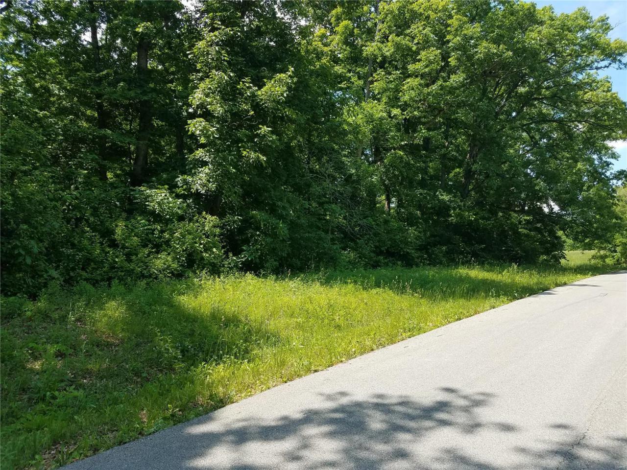 19 Parc Forest Trail - Photo 1