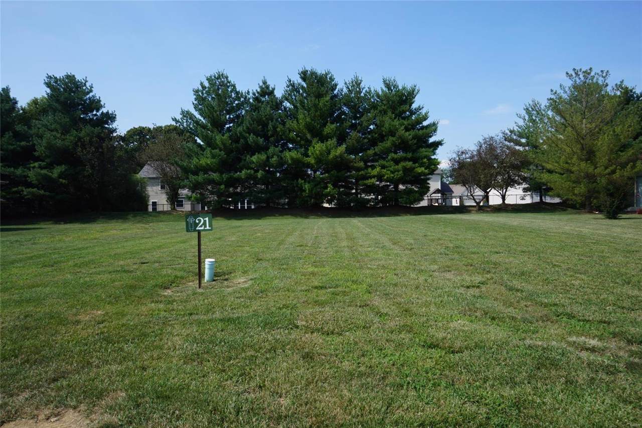 1835 Carrington Way - Photo 1