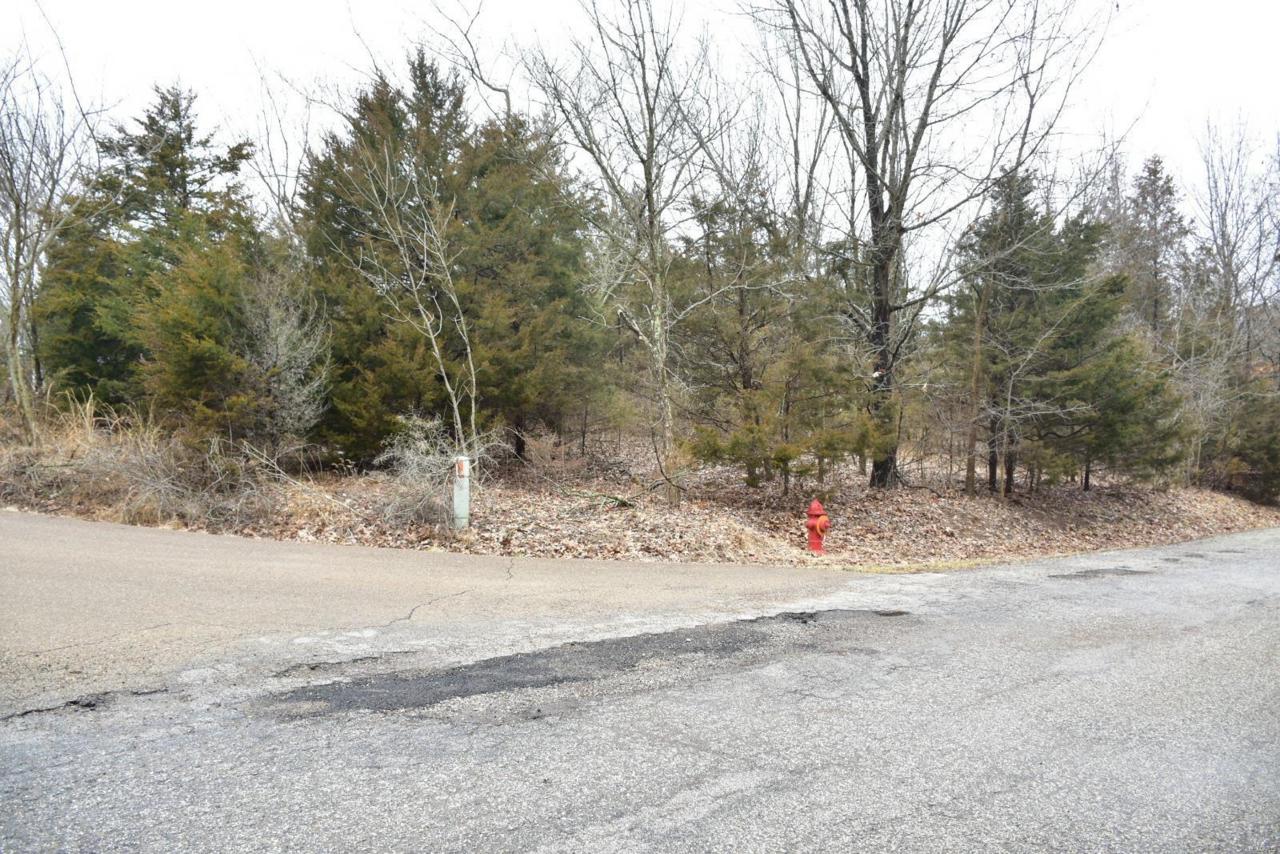 10331 Turkey Trail - Photo 1