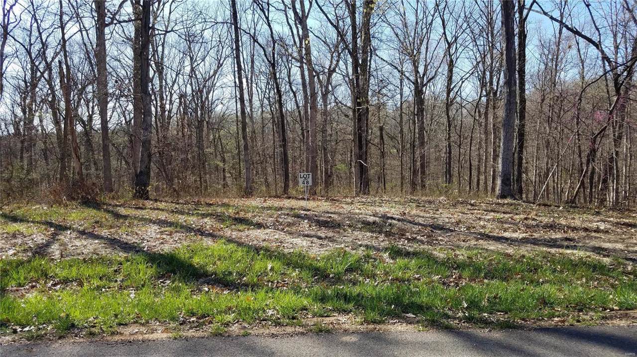 336 Pine Bluff Way - Photo 1