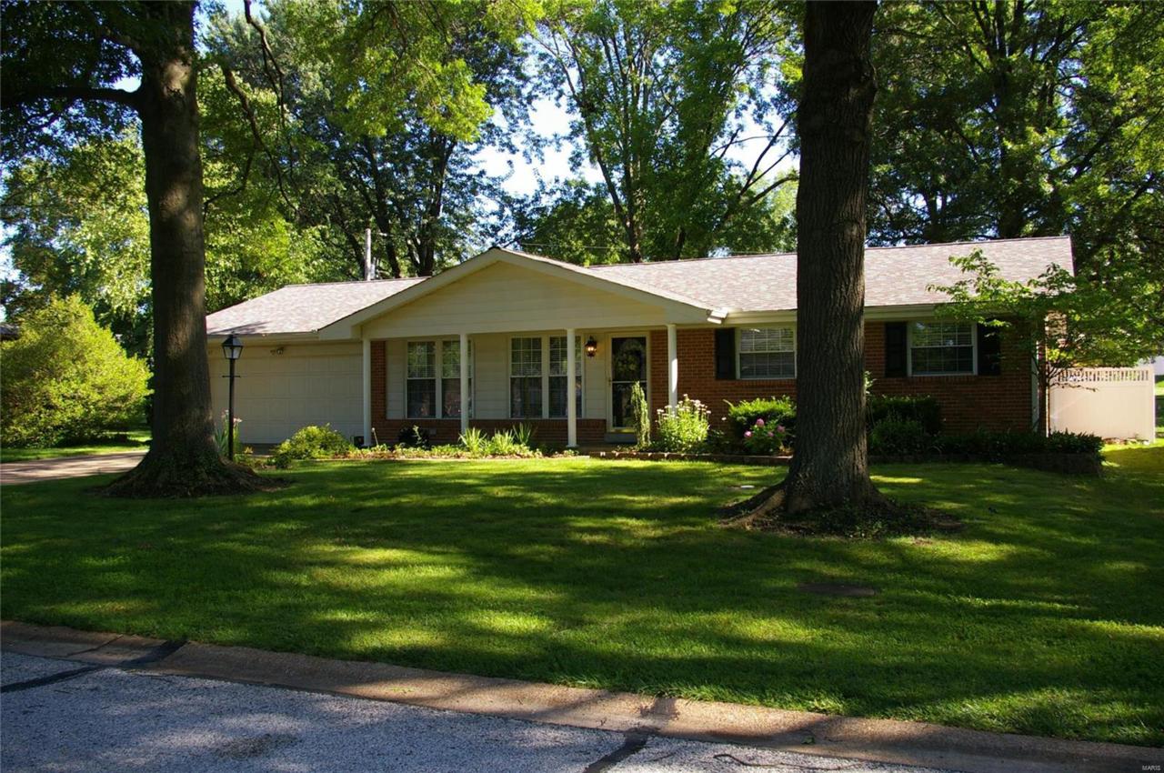 1017 Mallow Drive - Photo 1