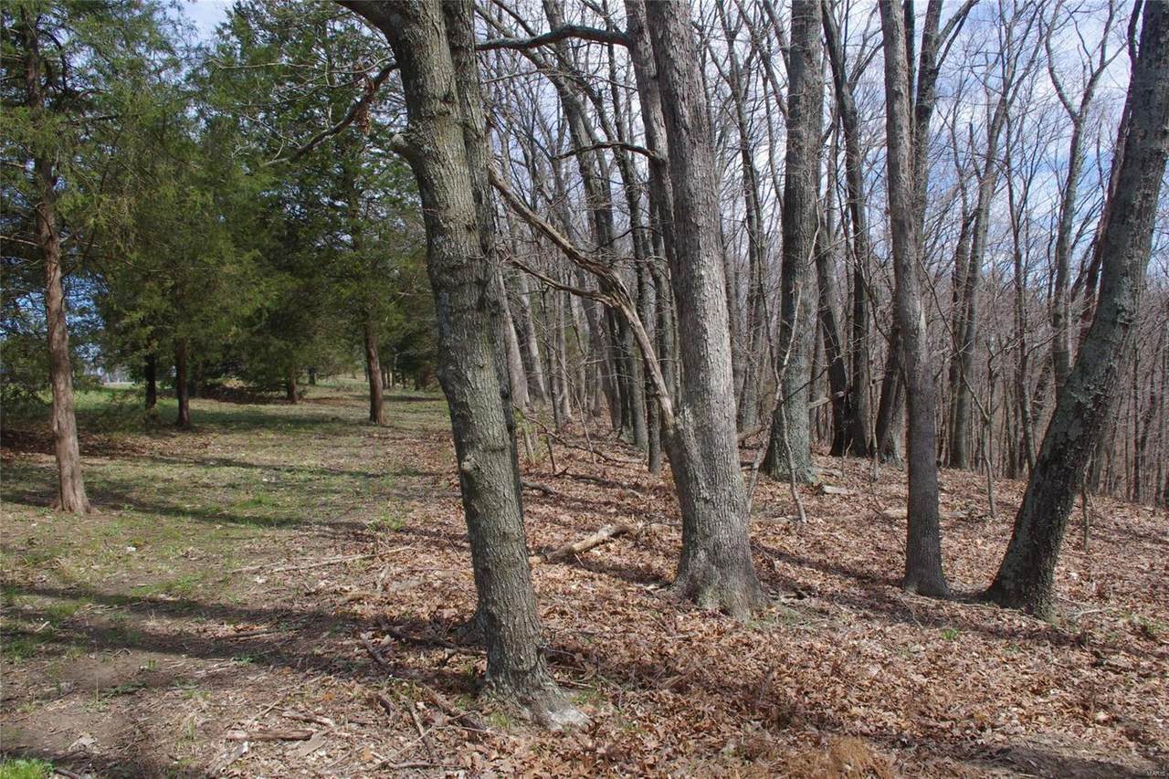 0 Terry Road - Photo 1