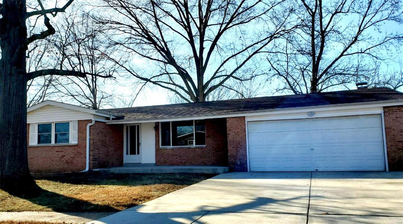 709 Wild Walnut Lane - Photo 1