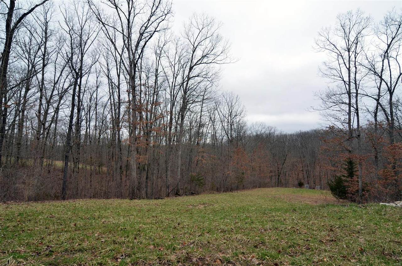27521 Pendleton Forest Road - Photo 1