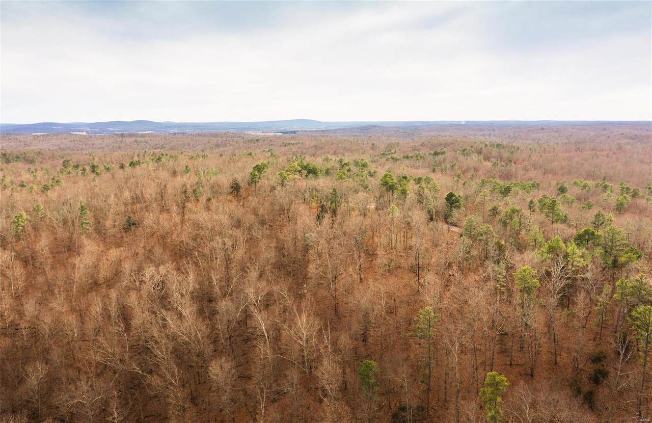 12949 Delbridge Road - Photo 1