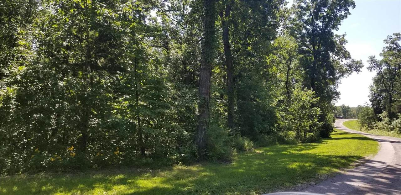 15 Hickory Woods - Photo 1