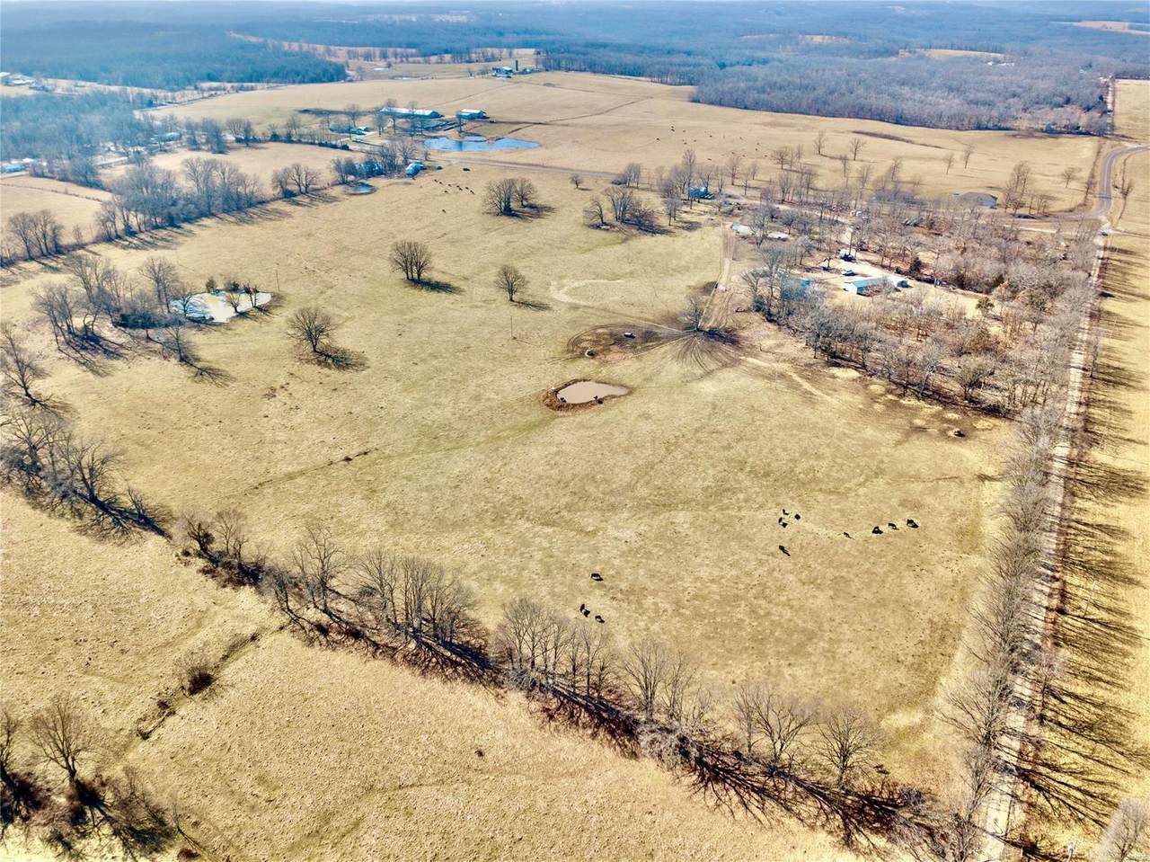 15293 Highway E - Photo 1