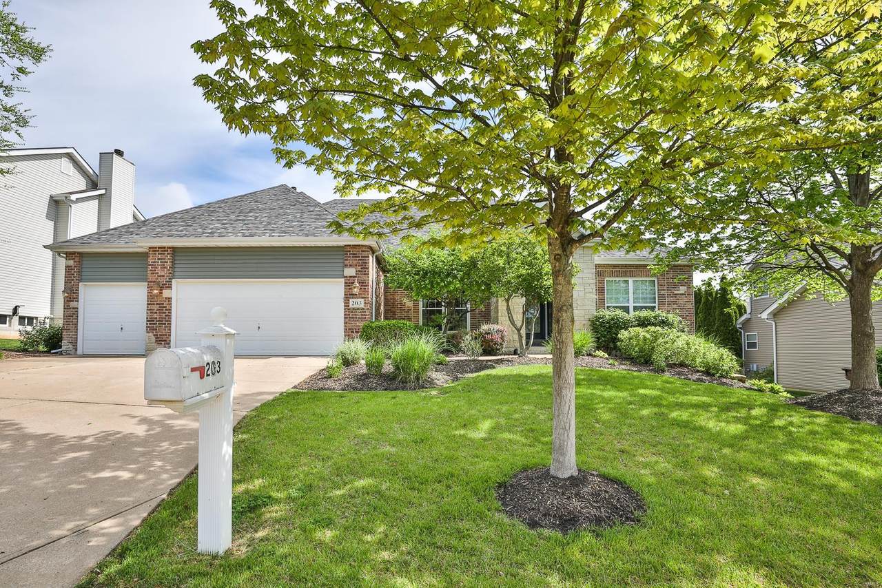 203 Vista Pointe Court - Photo 1