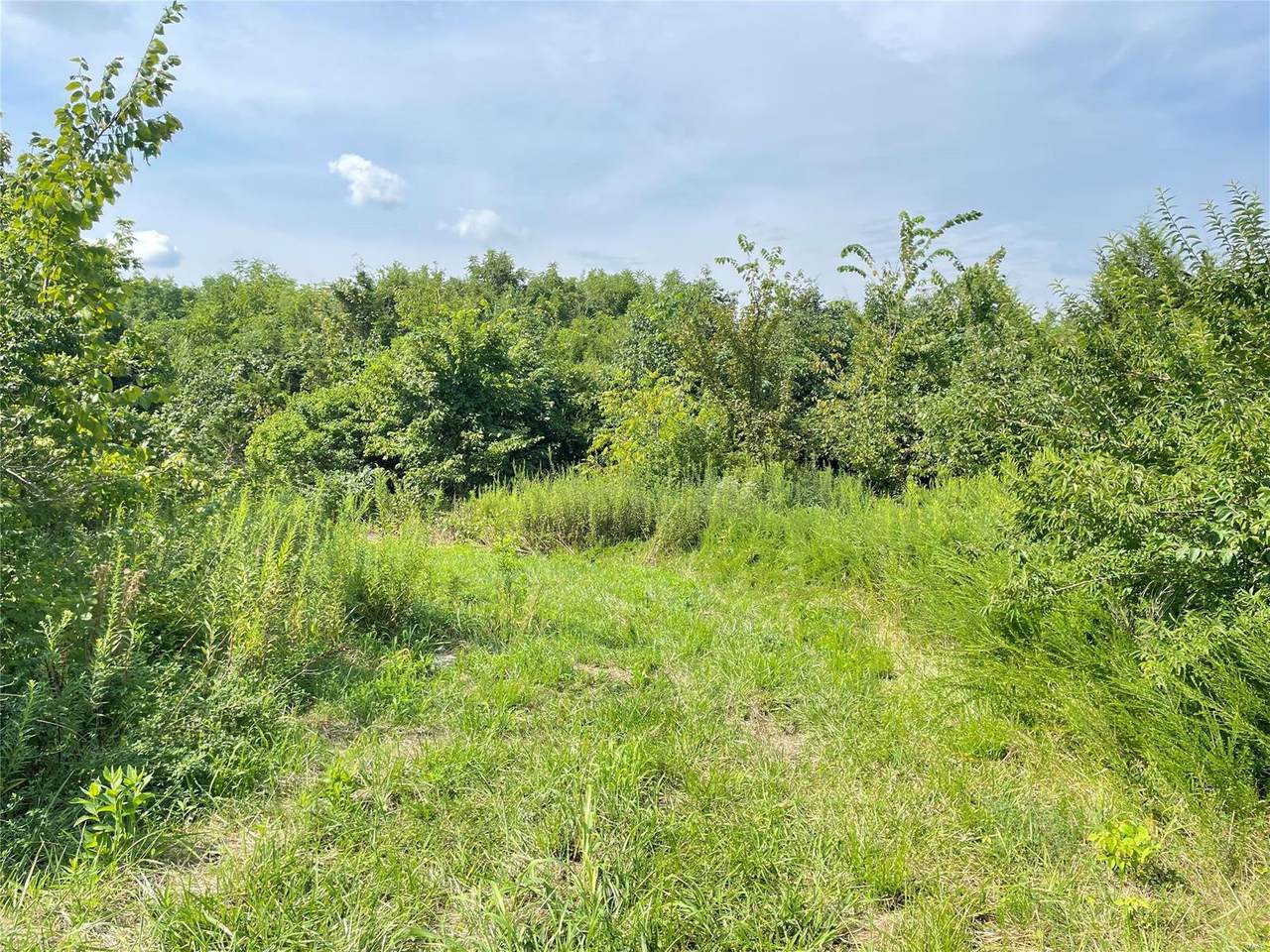 0 11.25 Acres Hwy 61 - Photo 1