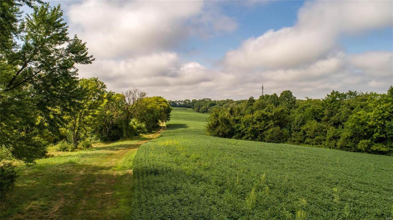 3734 Dunne Spring Road - Photo 1