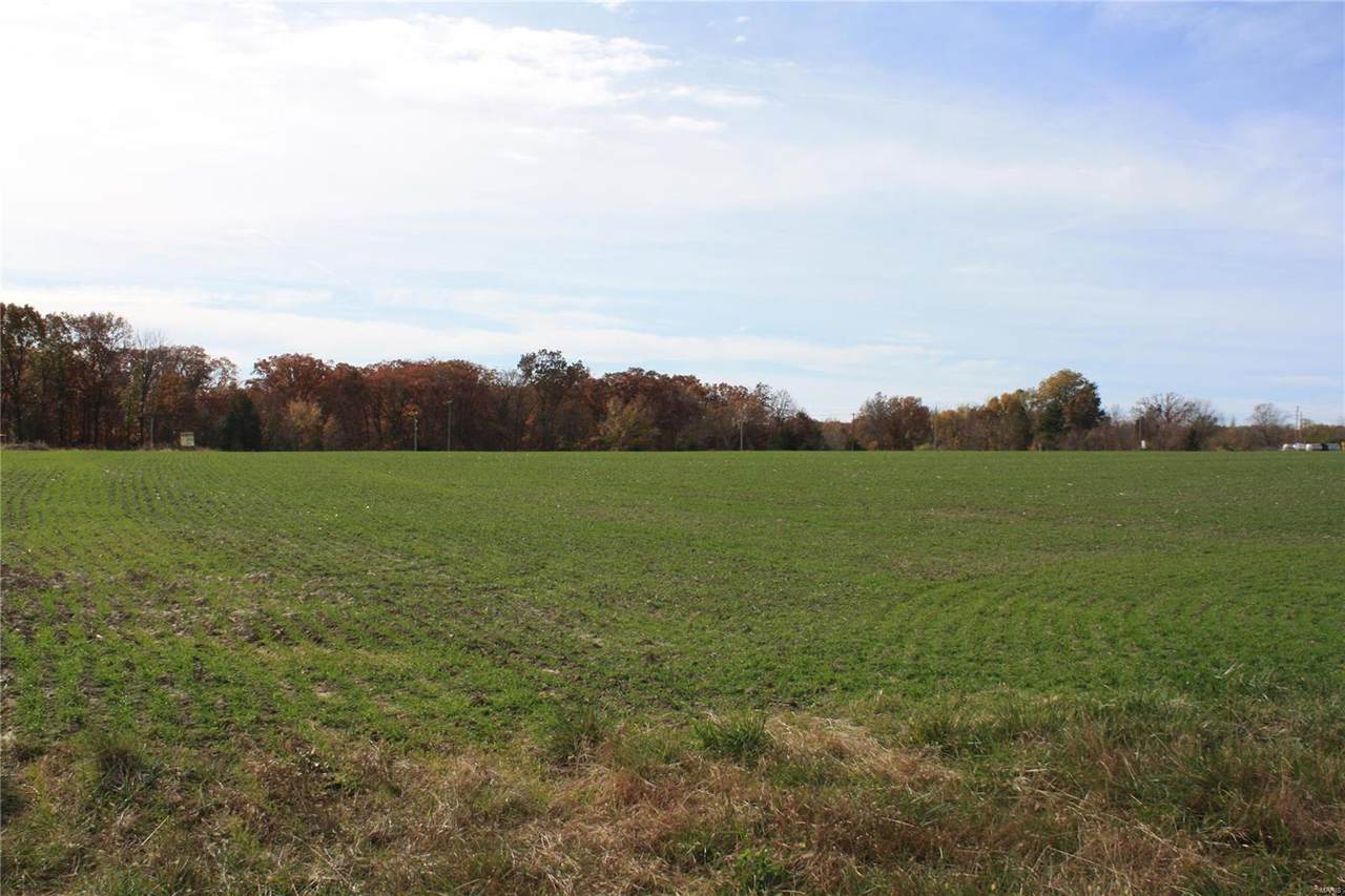 25 State Hwy B - Photo 1
