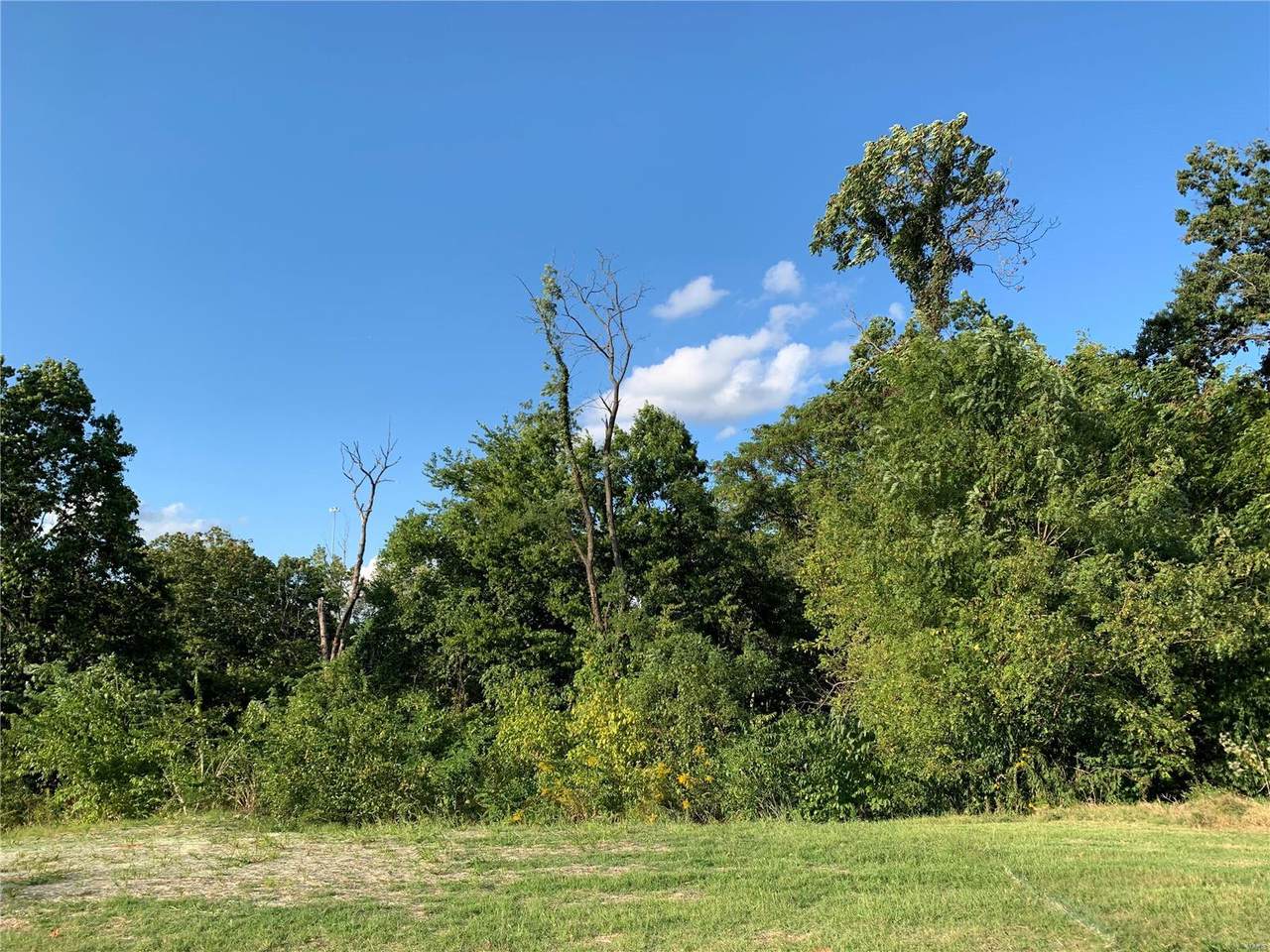 12685 Alberts Laumeier Court - Photo 1